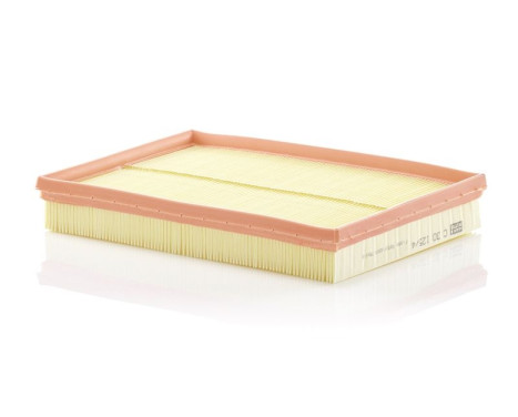 Air Filter C30125/4 Mann, Image 2