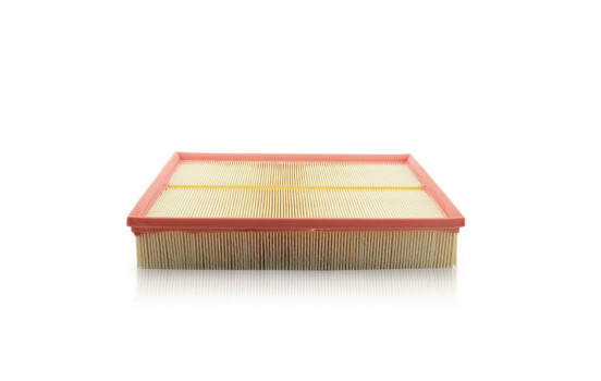 Air Filter C30189 MANN-FILTER