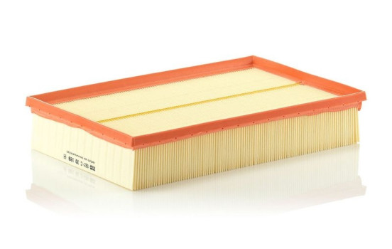 Air Filter C30189 MANN-FILTER, Image 2