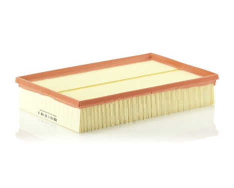 Air Filter C30189 Mann, Image 2