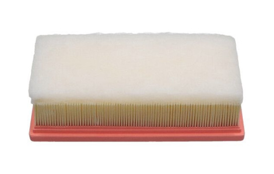 Air filter FAF-9001 Kavo parts