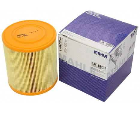 Air Filter LX 1253 Mahle