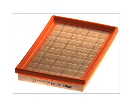 Air Filter LX 1259 Mahle