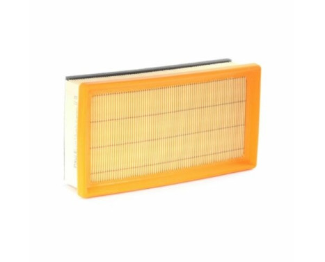 Air Filter LX 1617 Mahle
