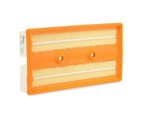 Air Filter LX 1643 Mahle