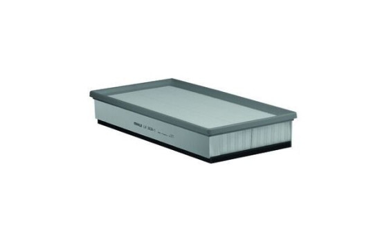 Air Filter LX 2024/1 Mahle, Image 4