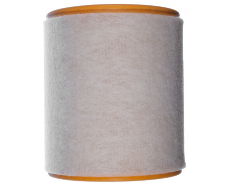 Air Filter LX 2049/4 Mahle