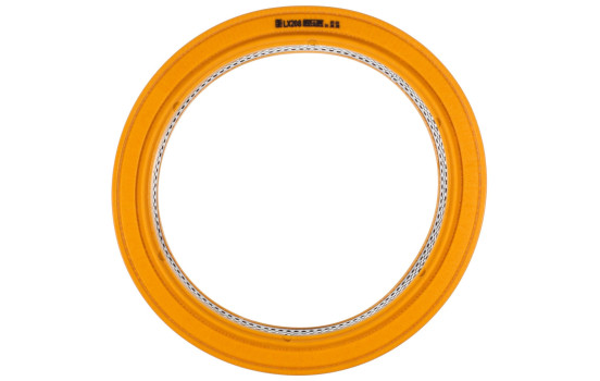 Air Filter LX 208 Mahle, Image 3