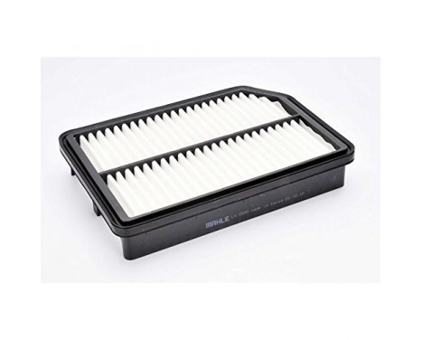 Air Filter LX 2890 Mahle