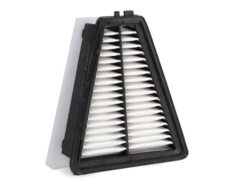 Air Filter LX 2911 Mahle