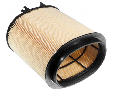 Air Filter LX 2974 Mahle