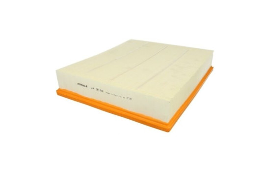 Air Filter LX 3138 Mahle