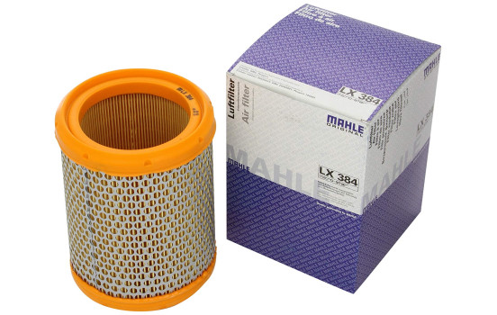 Air Filter LX 384 Mahle
