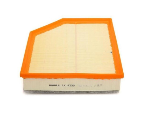 Air Filter LX 4233 Mahle