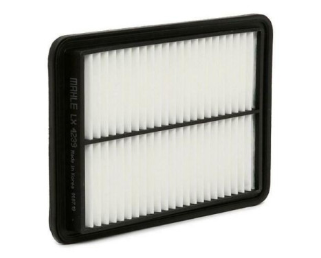 Air Filter LX 4239 Mahle