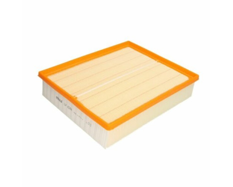Air Filter LX 4244 Mahle
