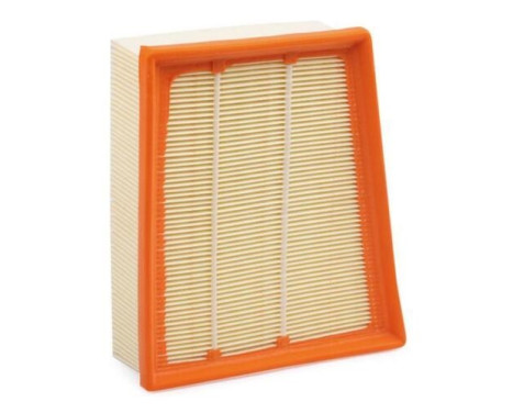 Air Filter LX 4297 Mahle
