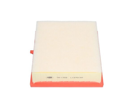 Air Filter TA-1702 AMC Filter, Image 2