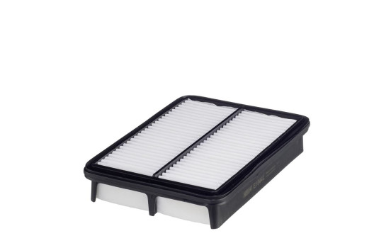 Air filter
