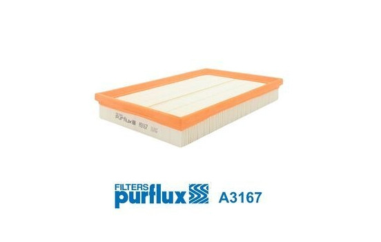 AIR FILTERS A3167 Purflux