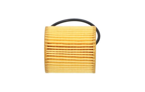 Oil Filter MO-543 AMC Filter, Image 4