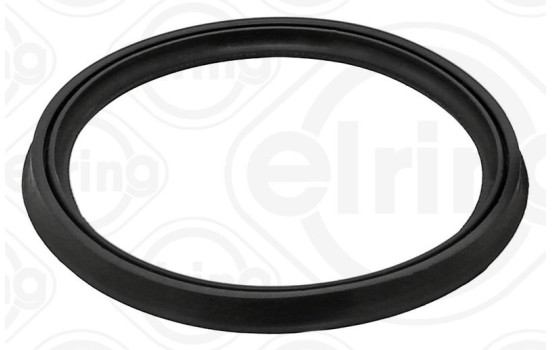 Sealing ring, connection hose, air filter housing