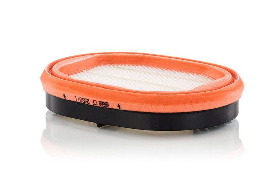 Secondary filter CF 2550/1 MANN-FILTER