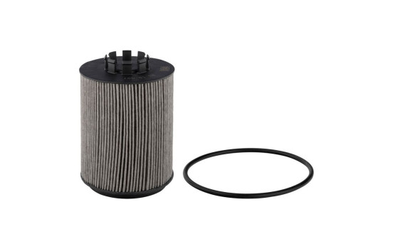Coolant filter, Image 2