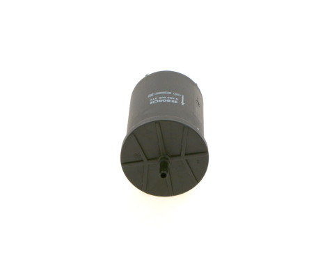Bosch F5318 - Gasoline Filter Auto, Image 7