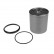 Fuel filter ADA102315 Blue Print