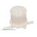 Fuel filter ADM52301 Blue Print, Thumbnail 2
