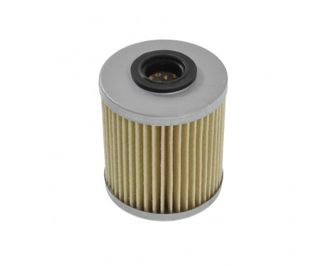 Fuel filter ADN12328 Blue Print, Image 2