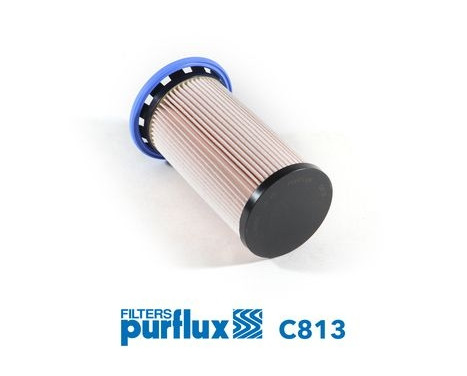Fuel filter C813 Purflux