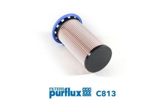 Fuel filter C813 Purflux