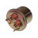 Fuel filter HF-8858 AMC Filter