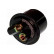 Fuel filter HF-8957 AMC Filter