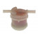 Fuel filter KF-1458 AMC Filter