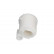 Fuel filter TF-1952 AMC Filter, Thumbnail 4