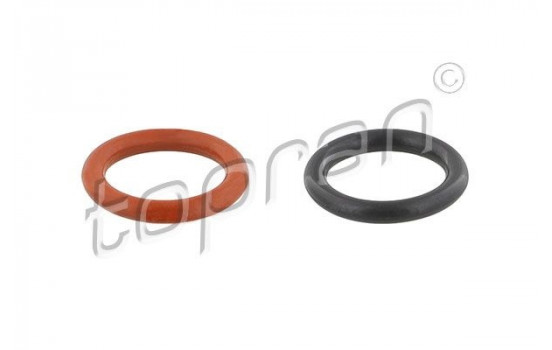 Seal, fuel filter