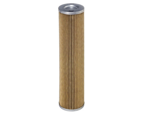 Filter, hydraulics