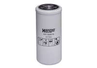 Filter, hydraulics