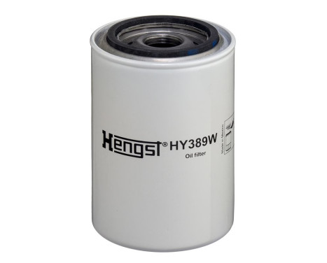 Filter, hydraulics