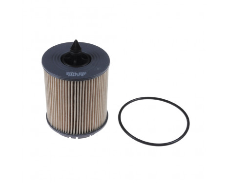 Oil Filter ADA102108 Blue Print