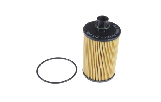 Oil Filter ADA102129 Blue Print