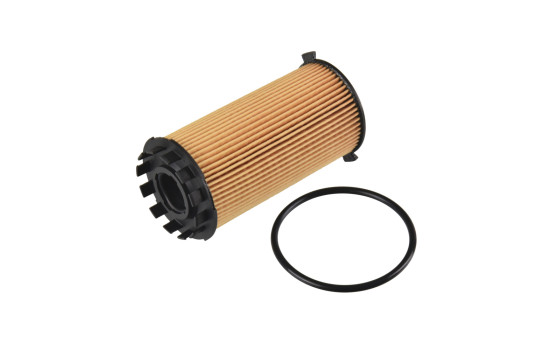 Oil Filter ADBP210020 Blue Print