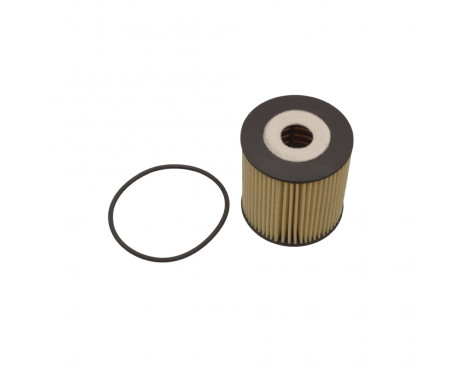 Oil Filter ADF122113 Blue Print