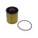 Oil Filter ADG02124 Blue Print