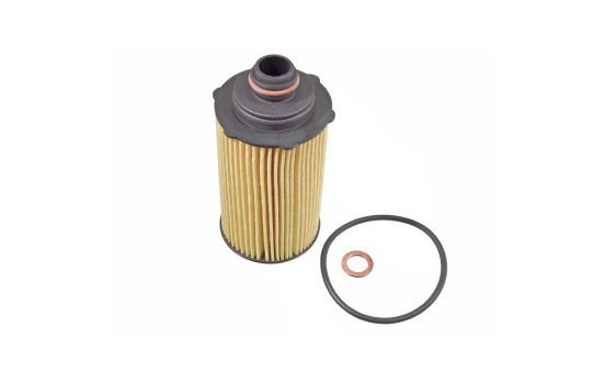Oil Filter ADG02161 Blue Print