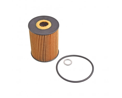 Oil Filter ADG02163 Blue Print