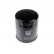 Oil Filter ADJ132114 Blue Print